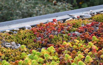 the cost of West Littleton green roof installation